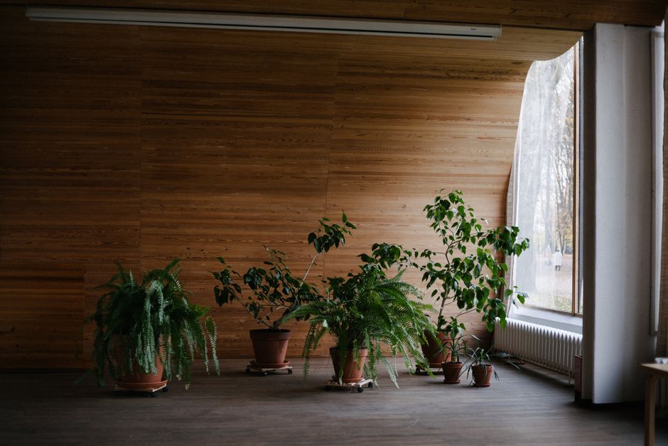 Muurventilatie met groene planten voor koeling.