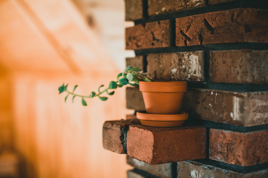 Zomerse sfeer in een tuin met terracotta tegels. Zomerse sfeer in een tuin met terracotta tegels.