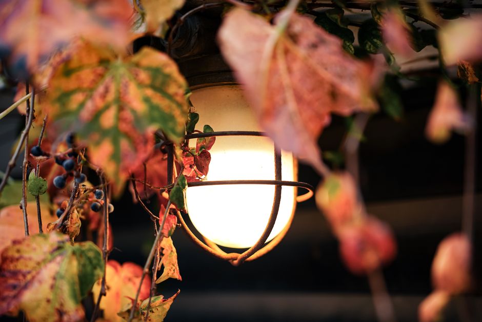Gezellig verlichte woonkamer met herfstdecoraties. Gezellig verlichte woonkamer met herfstdecoraties.